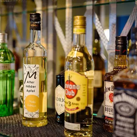 Ibis Styles فندق ماغديبورغ